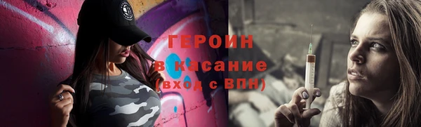 прущие грибы Сосновый Бор