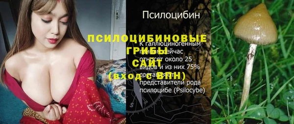 a pvp Горно-Алтайск