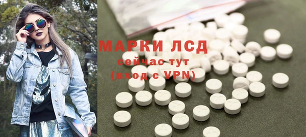 прущие грибы Сосновый Бор