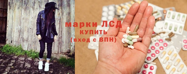 СК Горнозаводск