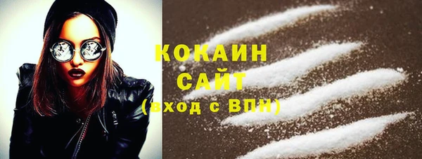 прущие грибы Сосновый Бор