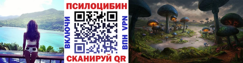 Галлюциногенные грибы Psilocybe  Великий Новгород 