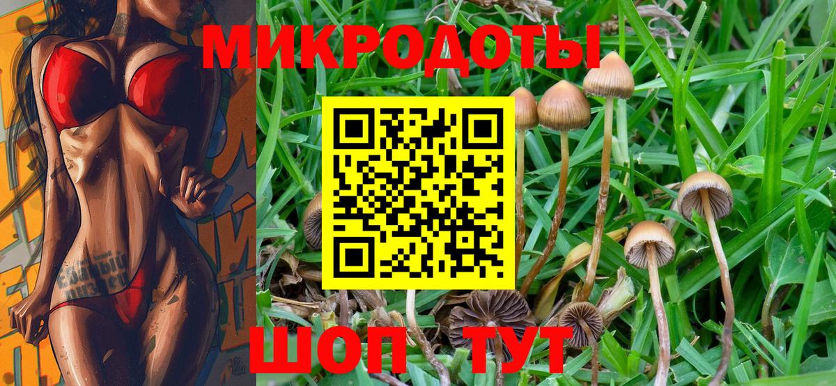 Галлюциногенные грибы Psilocybine cubensis Великий Новгород