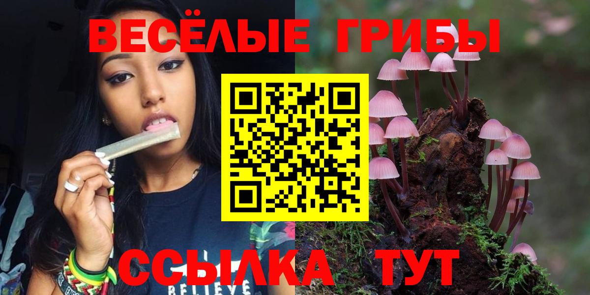 купить наркоту  Псилоцибиновые грибы GOLDEN TEACHER  Великий Новгород  Галлюциногенные грибы прущие грибы 