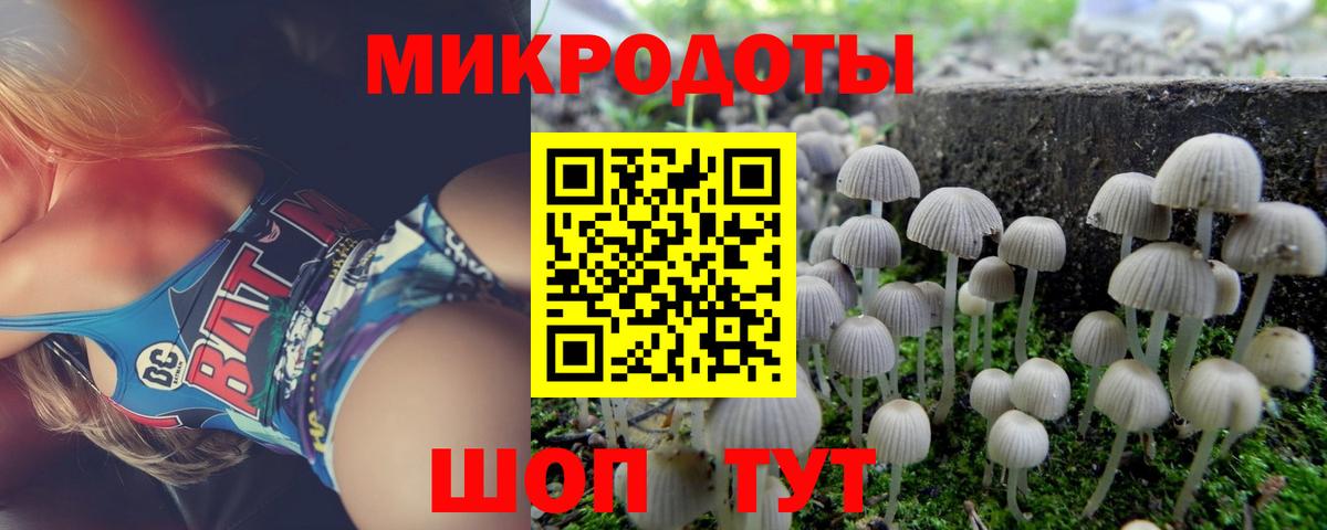 Псилоцибиновые грибы Magic Shrooms Великий Новгород